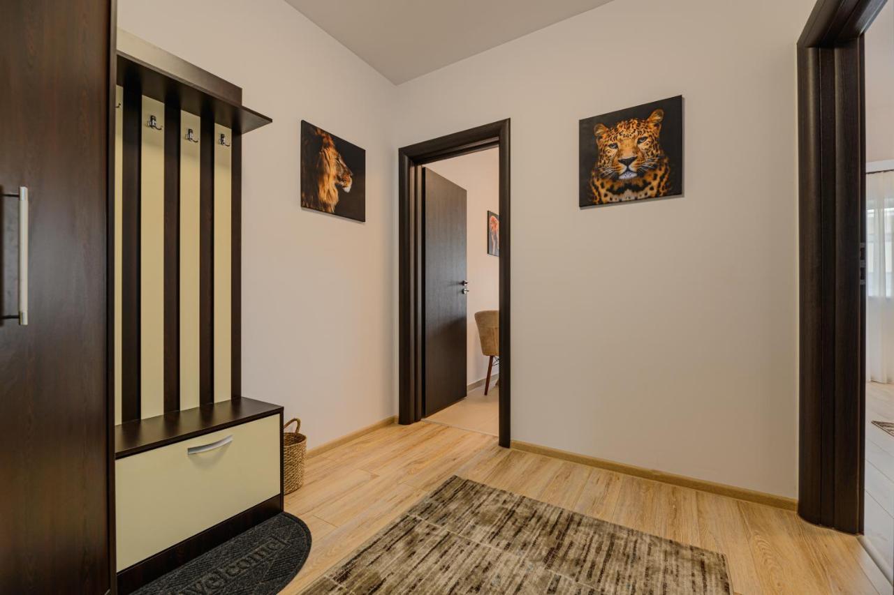 בראשוב Zen Apartments מראה חיצוני תמונה